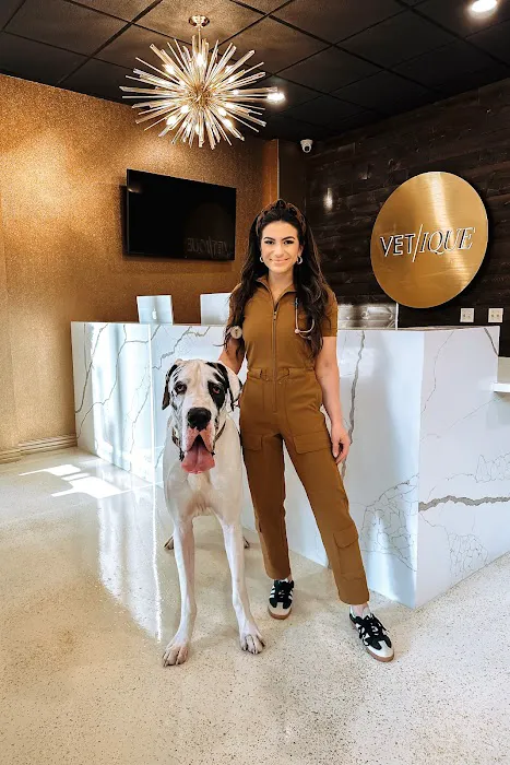 Vetique: Gold Coast & River North's Premium Veterinary Care Picture 1