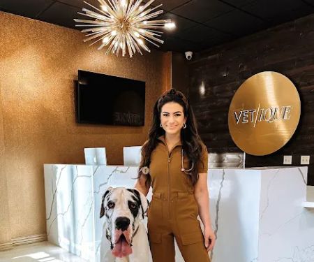 Vetique: Gold Coast & River North's Premium Veterinary Care