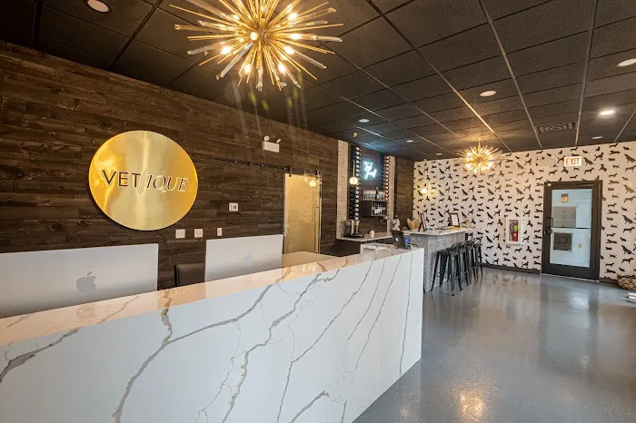 Vetique: Gold Coast & River North's Premium Veterinary Care Picture 2
