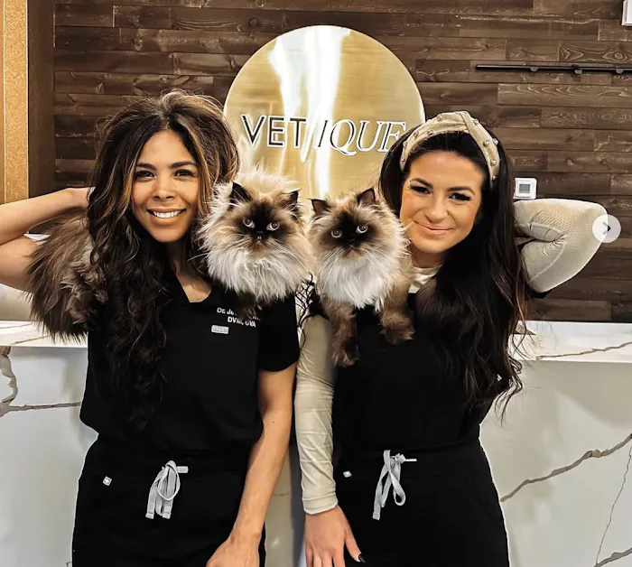 Vetique: Gold Coast & River North's Premium Veterinary Care Picture 3