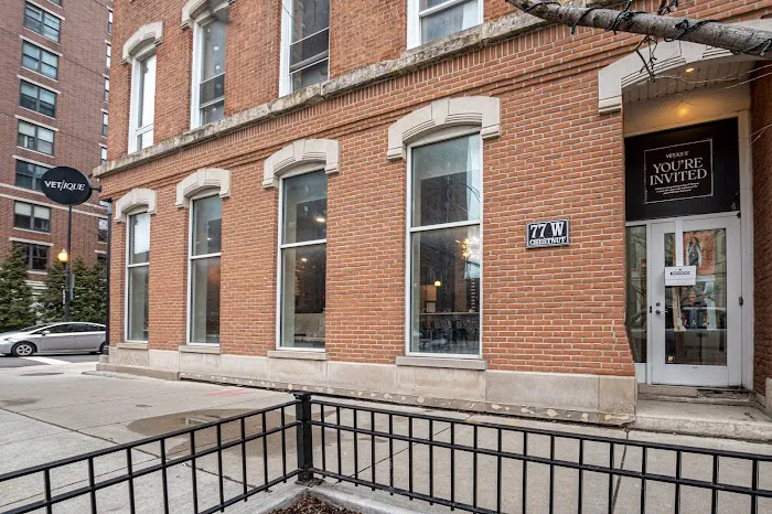 Vetique: Gold Coast & River North's Premium Veterinary Care Picture 9