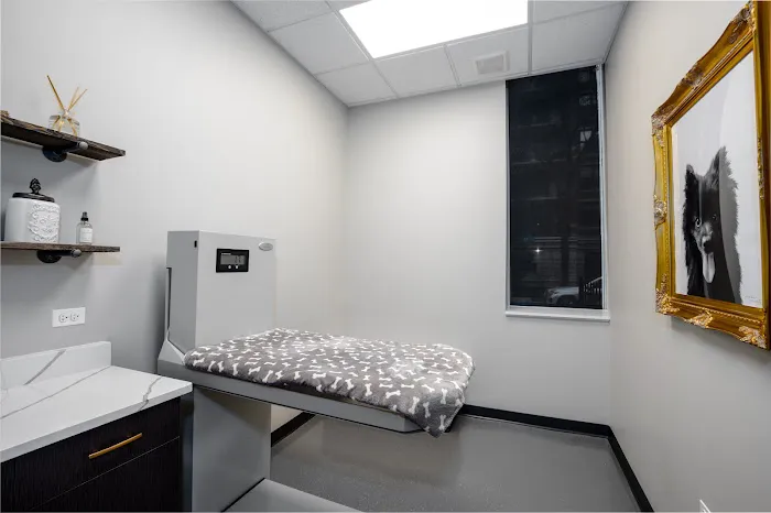 Vetique: Gold Coast & River North's Premium Veterinary Care Picture 10