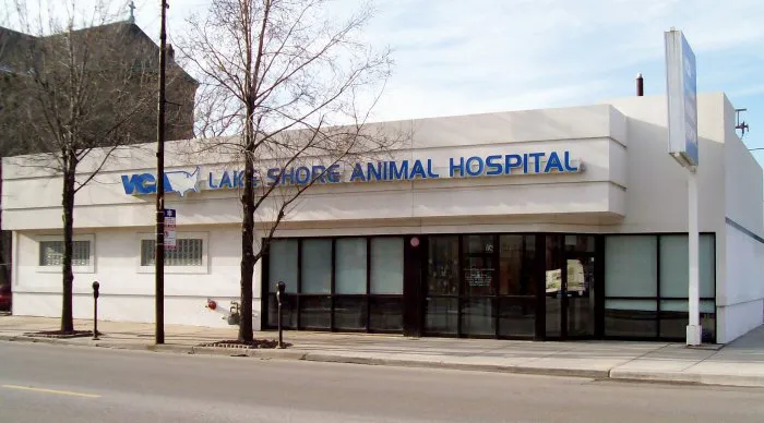 VCA Lake Shore Animal Hospital Picture 3