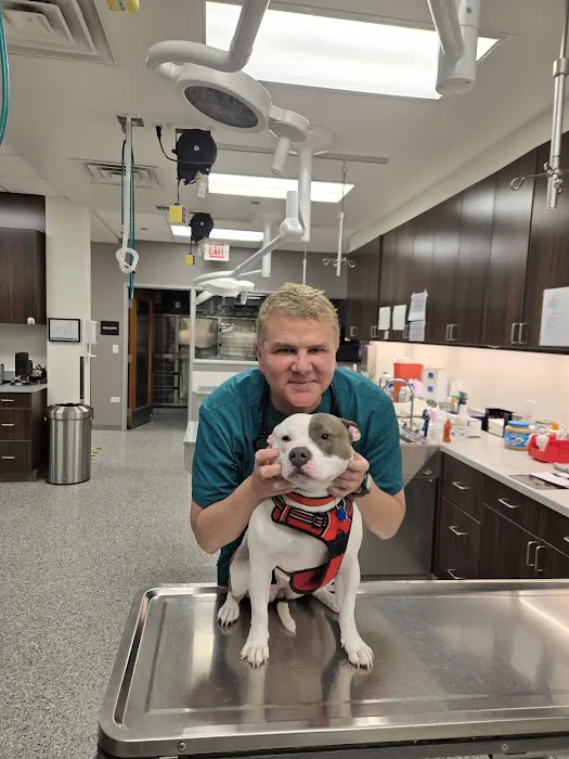 VCA Lake Shore Animal Hospital Picture 1