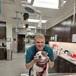 VCA Lake Shore Animal Hospital