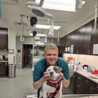 VCA Lake Shore Animal Hospital ico