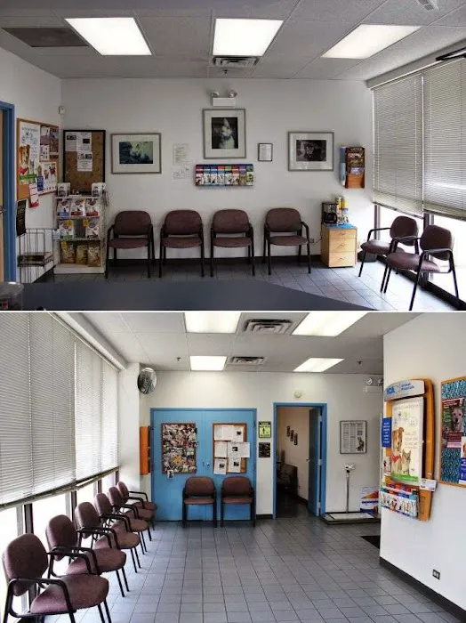 VCA Lake Shore Animal Hospital Picture 5