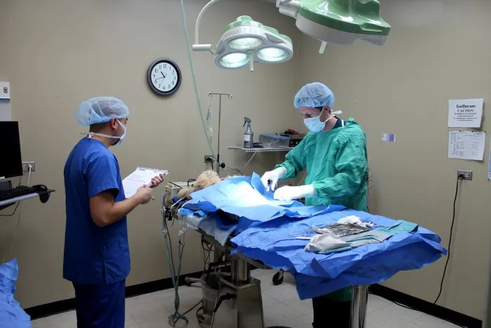 VCA Lake Shore Animal Hospital Picture 9