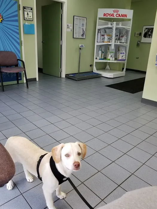 VCA Lake Shore Animal Hospital Picture 7