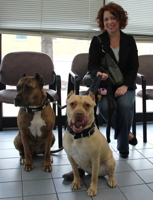 VCA Lake Shore Animal Hospital Picture 8