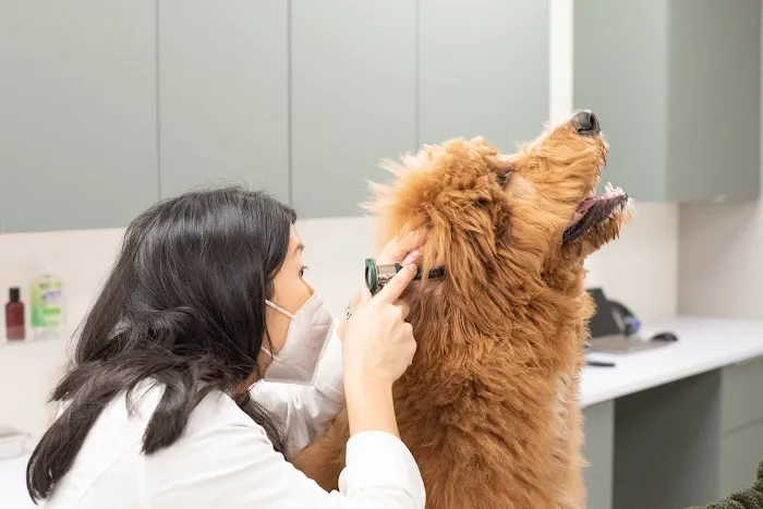 Kindred Veterinary Picture 5