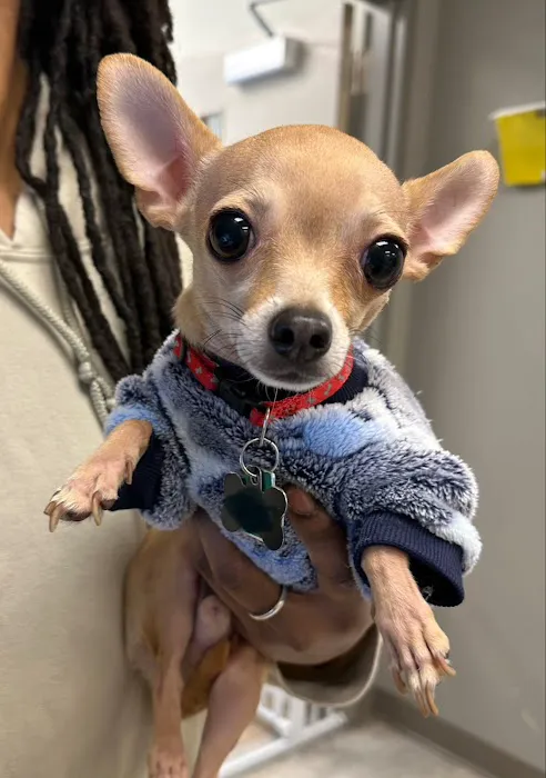 Kindred Veterinary Picture 9