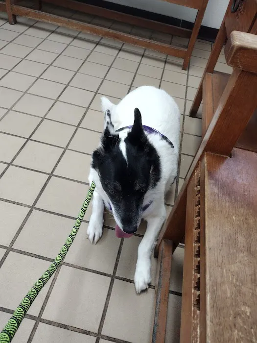 El Paso Veterinary Hospital Picture 1