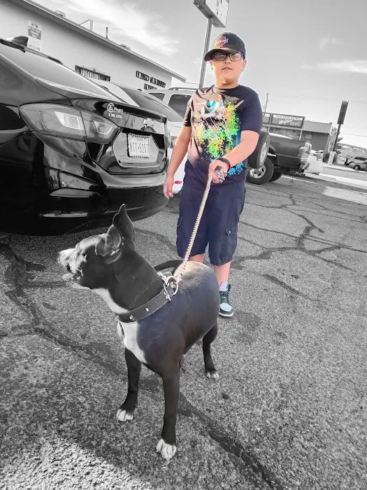 El Paso Veterinary Hospital Picture 7