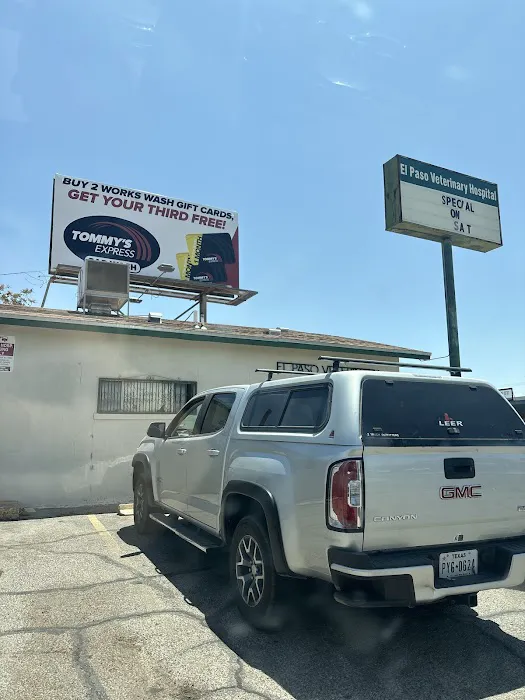 El Paso Veterinary Hospital Picture 10