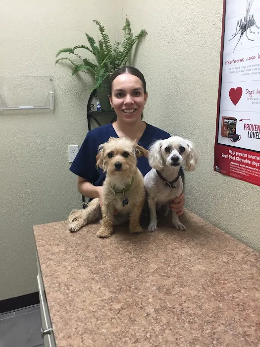 Holy Family Pet Care Picture 3