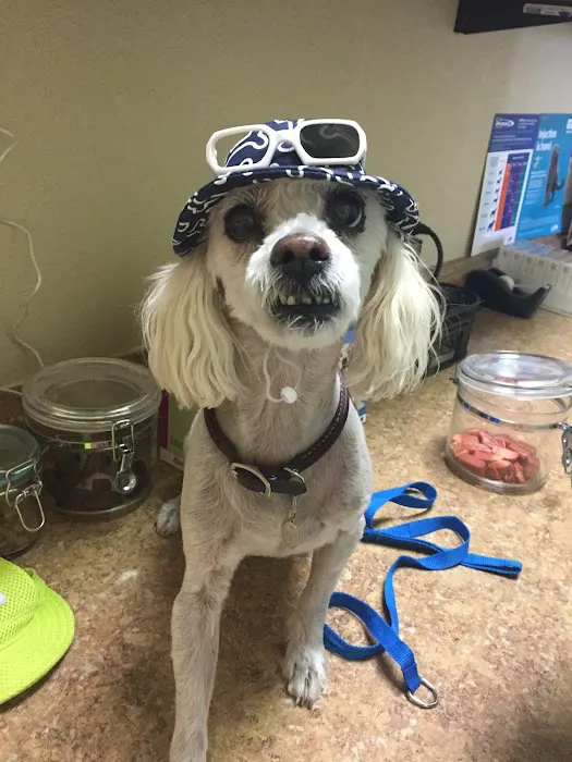 Holy Family Pet Care Picture 5