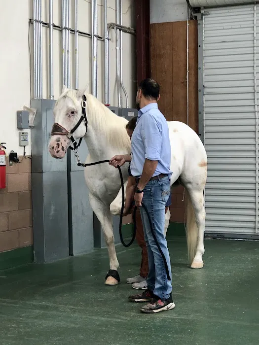 Jenson Equine Hospital Picture 6