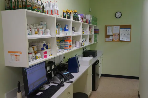 Madison Street Animal Hospital Picture 10
