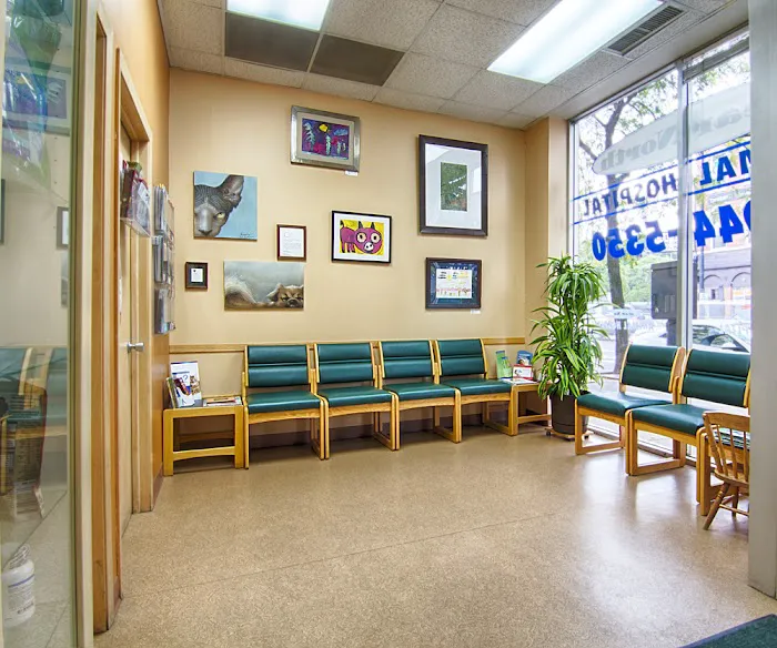 Near North Animal Hospital Picture 2