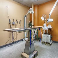 Near North Animal Hospital ico