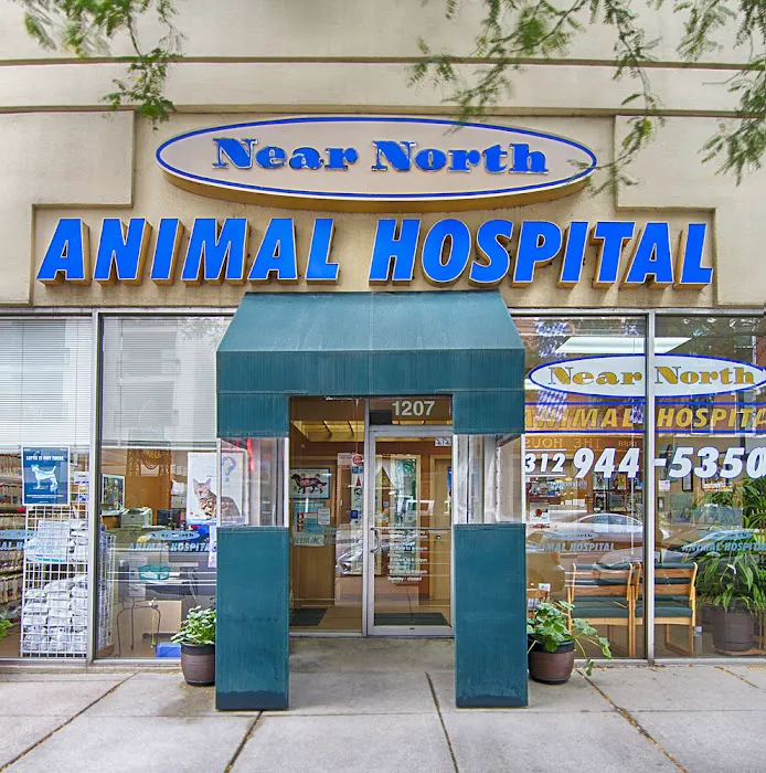 Near North Animal Hospital Picture 7
