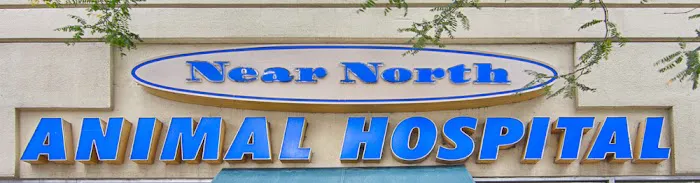 Near North Animal Hospital Picture 9