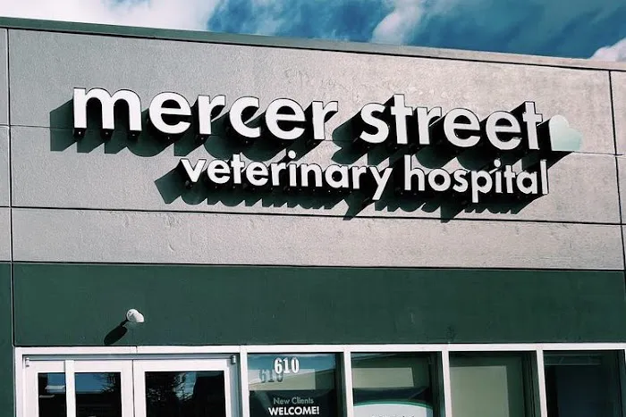 Mercer Street Veterinary Hospital Picture 2