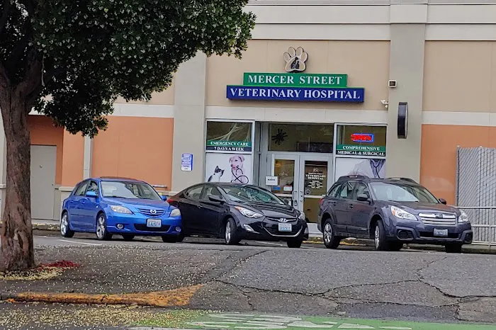 Mercer Street Veterinary Hospital Picture 4