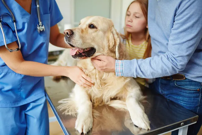 Mercer Street Veterinary Hospital Picture 7