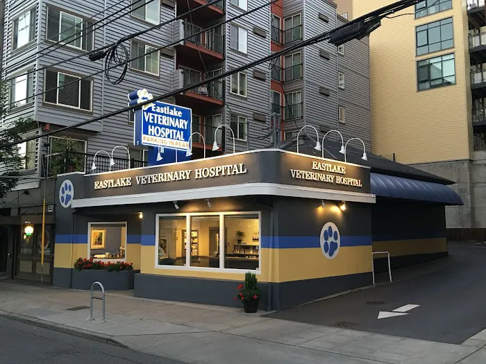 Eastlake Veterinary Hospital Picture 1