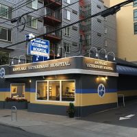 Eastlake Veterinary Hospital ico