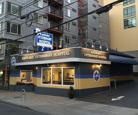 Eastlake Veterinary Hospital