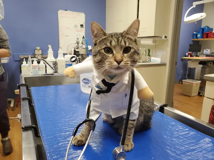 Eastlake Veterinary Hospital Picture 3