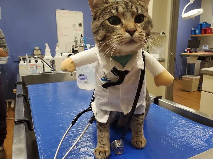 Eastlake Veterinary Hospital Picture 4