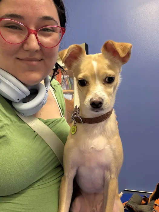 Eastlake Veterinary Hospital Picture 5
