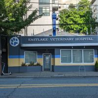 Eastlake Veterinary Hospital: Carl Anderson, DVM ico