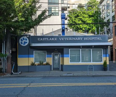 Eastlake Veterinary Hospital: Carl Anderson, DVM
