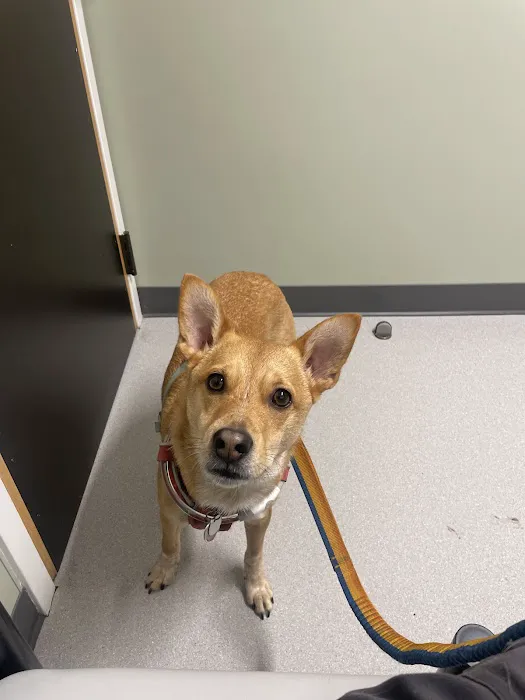 Atlantic Veterinary Hospital Picture 1