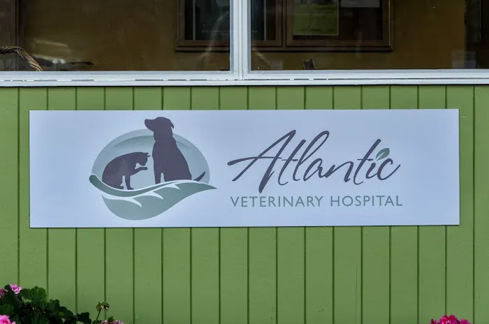Atlantic Veterinary Hospital Picture 4