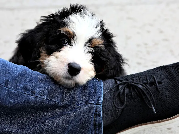 Atlantic Veterinary Hospital Picture 7