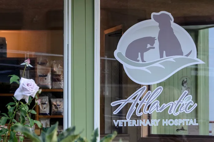 Atlantic Veterinary Hospital Picture 9