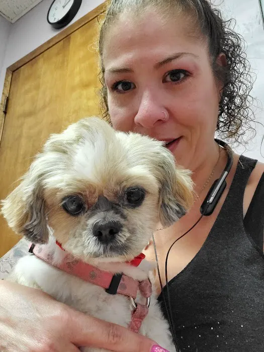 Uptown Animal Hospital Inc Picture 8
