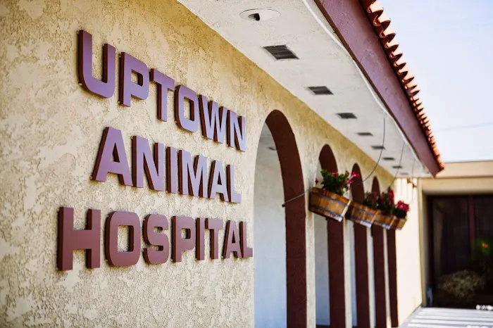 Uptown Animal Hospital Inc Picture 9