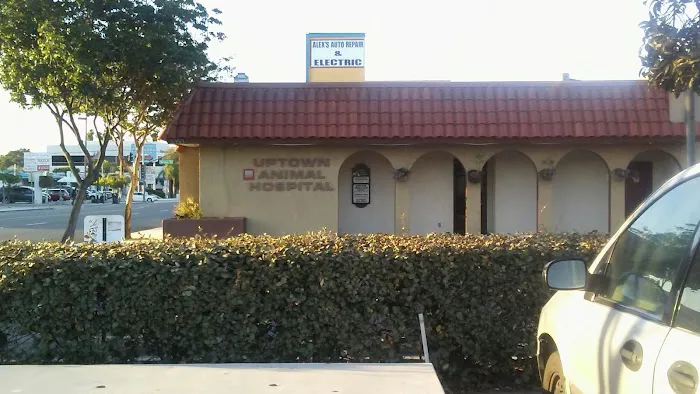 Uptown Animal Hospital Inc Picture 6