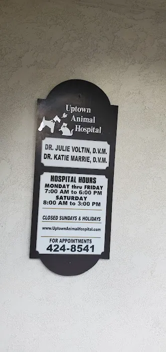 Uptown Animal Hospital Inc Picture 10