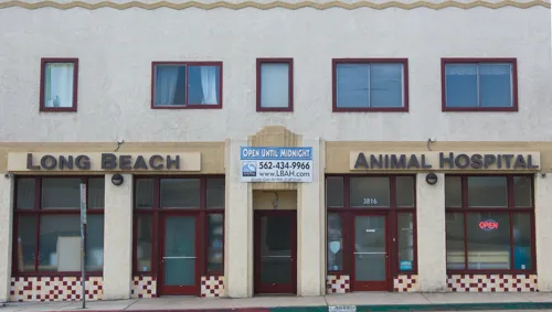 Long Beach Animal Hospital Picture 1
