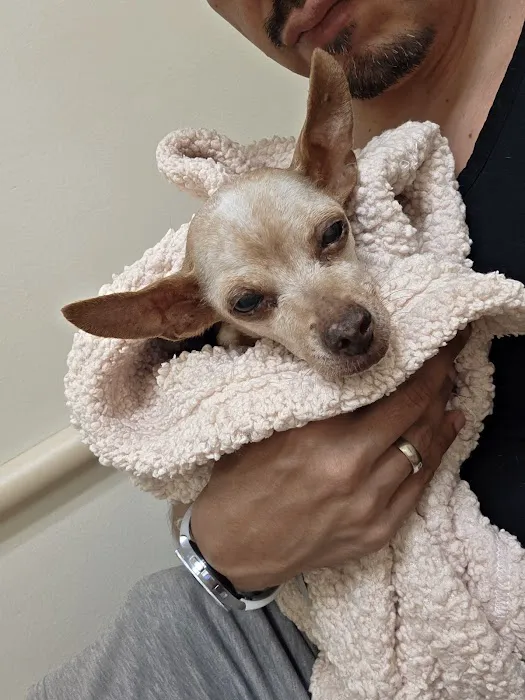 Long Beach Animal Hospital Picture 8