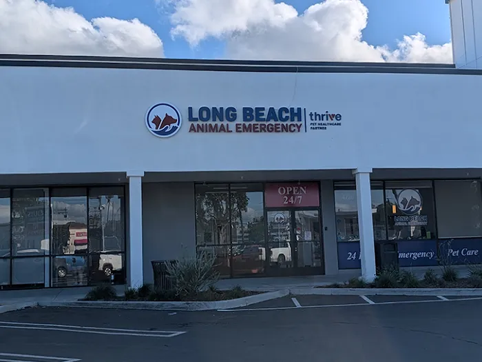 Long Beach Animal Emergency Picture 3