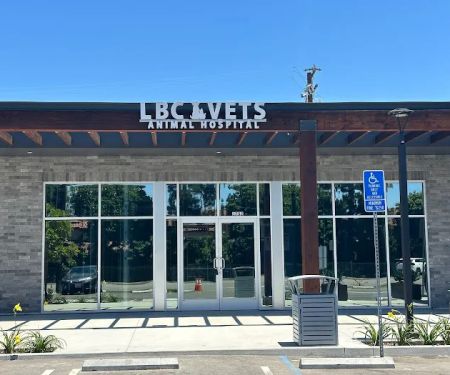 Lbc Vets Primary and Urgent Care